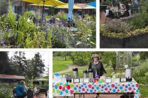 Screenshot 2024-08-21 at 4.12.38 PM